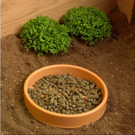 Habistat | Plastic Shallow Water Bowl | Kerek műanyag itatótál kis testű hüllők, kétéltűek és rágcsálók számára – 13 × 13 × 2,5 cm