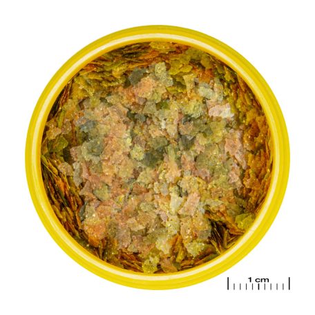 JBL | ProNovo | Bel | Flakes S | Lemezes díszhaltáp | Akváriumi halak számára - 18 g/100 ml