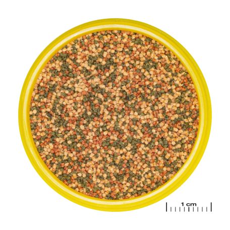 JBL | ProNovo |  Bel | Grano S | Granulátum táplálék  - 100 ml/56 g