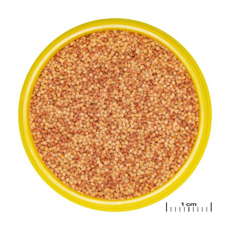 JBL | ProNovo | Color | Grano S | CLICK | Granulátum táplálék  - 100 ml