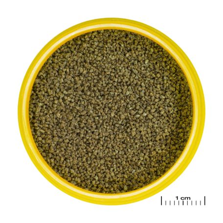 JBL | ProNovo | Danio | Grano XS | CLICK | Granulátum táplálék  - 100 ml/48 g