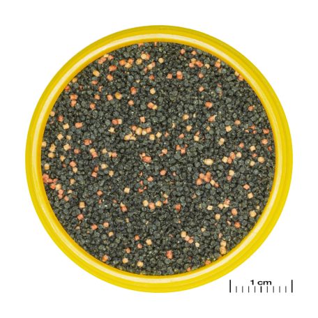 JBL | ProNovo | Guppy | Grano S | Granulátum táplálék  - 100 ml/56 g