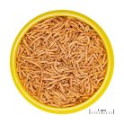 JBL | ProNovo | Red Insect | Stick S | Aranyhalak számára - 100 ml/38 g