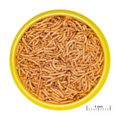   JBL | ProNovo | Red Insect | Stick S | Aranyhalak számára - 100 ml/38 g