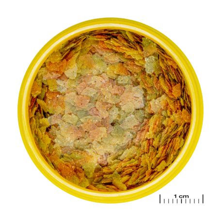 JBL | ProNovo | Betta | Flakes S | Lemezes díszhaltáp | Betták számára - 6 g/20 ml