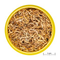   JBL | ProNovo | Fil | M | Vörös szunyoglárva díszhalak számára - 100ml/10g