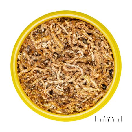 JBL | ProNovo | Fil | M | Vörös szunyoglárva díszhalak számára - 100ml/10g