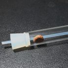 JBL PlaCollect | Csapda laposférgek ellen - 13 cm