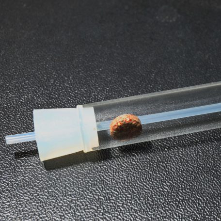 JBL PlaCollect | Csapda laposférgek ellen - 13 cm