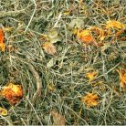 JR Farm | Gyermekláncfű - 500 g