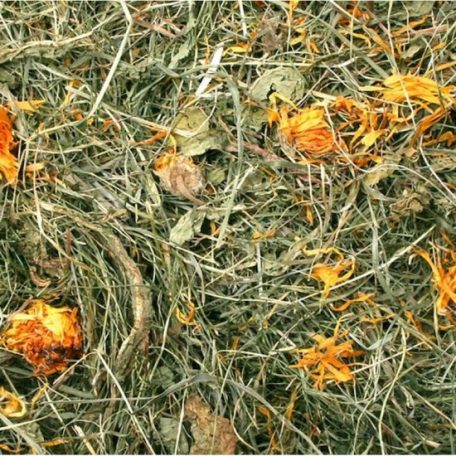 JR Farm | Széna gyermekláncfű - 500 g