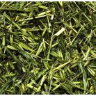 JR Farm | Zöld zabfű - 100 g
