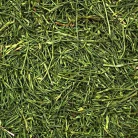 JR Farm | Petrezselyem - 150 g