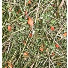 JR Farm | Répa - 100 g