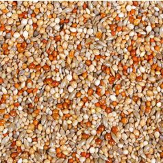 JR Farm | Classic Pinty - 1 Kg