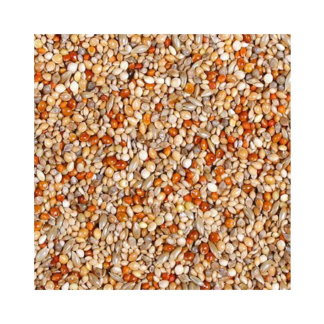 JR Farm | Classic Pinty - 1 Kg