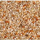 JR Farm | Classic Nagy papagáj - 1 Kg