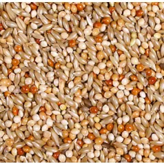 JR Farm | Classic Nagy papagáj - 1 Kg