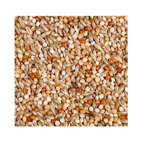 JR Farm | Classic Nagy papagáj - 1 Kg