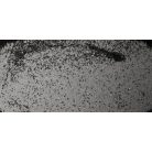 JR Farm | Madárhomok - 3 Kg