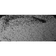 JR Farm | Madárhomok - 3 Kg