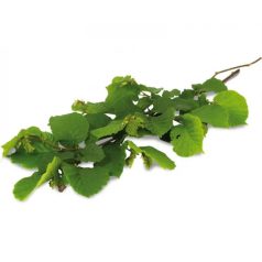 JR Farm | ESN Mogyoró szüret - 40 g