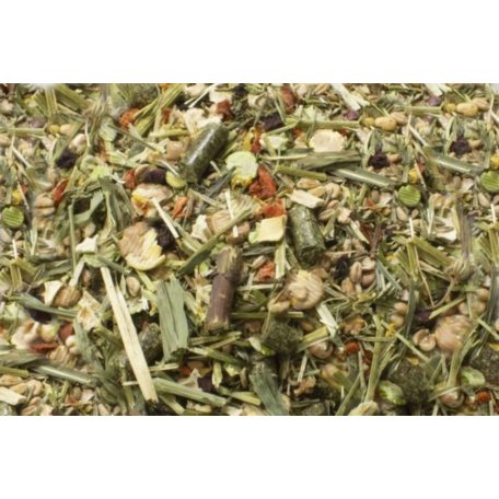 JR Farm | Degu-lakoma - 800 g