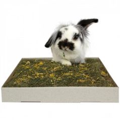 JR Farm | ESN gyógynövényes rét pitypanggal - 750 g