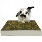 JR Farm | ESN gyógynövényes rét pitypanggal - 750 g