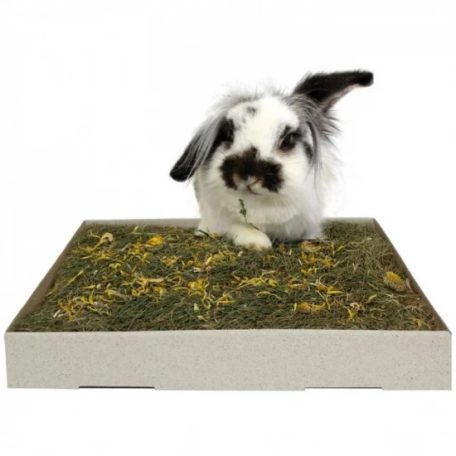 JR Farm | ESN gyógynövényes rét pitypanggal - 750 g