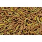 JR Farm | Gabonamentes Health Complete Tengerimalacoknak - 600 g