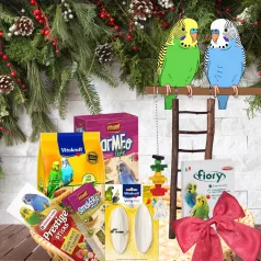   Karácsonyi Ajándékcsomag Hullámos papagájoknak I Rainbow Treats & Toys Bundle - Szivárvány Finomság & Játék Csomag