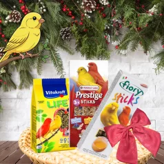   Karácsonyi Ajándékcsomag Kanáriknak I Sunny Canary Snack Set – Napsárga Kanári finomságok