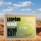 Leopárdgekkó TOP kezdőcsomag - bébi gekkóknak
