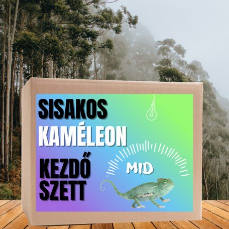 Kaméleon MID kezdőcsomag -  sisakos és párduc bébi kaméleonoknak