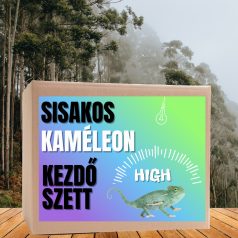   Kaméleon HIGH kezdőcsomag - sisakos és párduc bébi kaméleonoknak