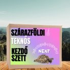 Szárazföldi teknős  NEXT kezdőcsomag - fiatal teknősöknek