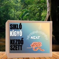 Sikló NEXT kezdőcsomag - bébi siklóknak