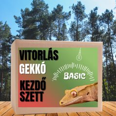 Vitorlás gekkó BASIC kezdőcsomag - bébi gekkóknak