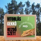 Vitorlás gekkó MID kezdőcsomag - bébi gekkóknak