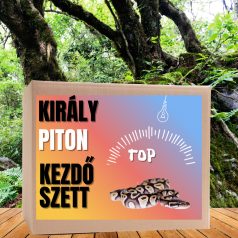 Piton TOP kezdőcsomag - bébi pitonoknak