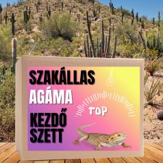 Szakállas agáma TOP kezdőcsomag - bébi agámáknak