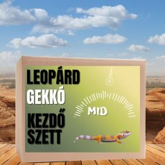 Leopárdgekkó MID kezdőcsomag - bébi gekkóknak