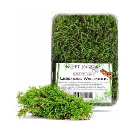 The Pet Factory Lebendes Waldmoos | Élő erdei moha bioaktív terráriumokhoz – 1 liter