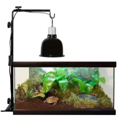Zoo Med Mini Deep Dome | Mini lámpatest - 100 W