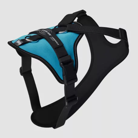 Julius-K9 | Longwalk Light | Duo-Flex rendszerű túra- és sétahám – akvamarin (2XL)