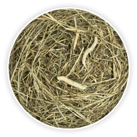 Cunipic | Naturaliss | Timothy Széna nyulaknak és rágcsálóknak – 500 g / 1000 ml