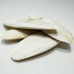 Pet King| Szépia csont | 2 db 