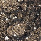 Pet King | bioaktív talajkeverék - 5 liter