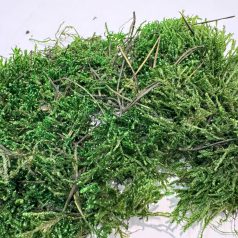   Szárított erdei mohalap| Természetes terráriumi dekoráció - 100 g